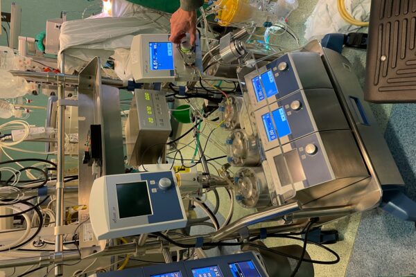 Success Story: the case of ScienceForBrain UAB