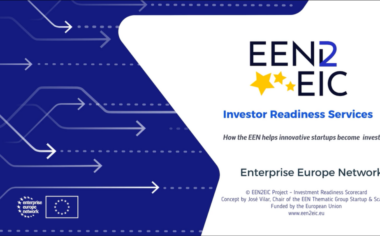 IRS – Investment Readiness Service